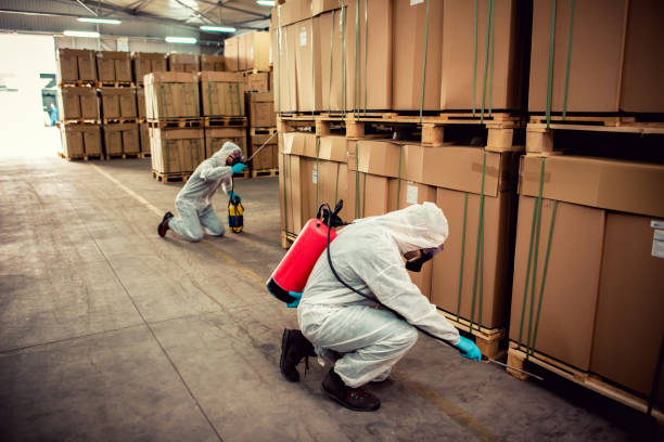 Best Mosquito Control Services  in Beattystown, NJ
