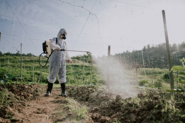 Best Commercial Pest Control Services  in Beattystown, NJ