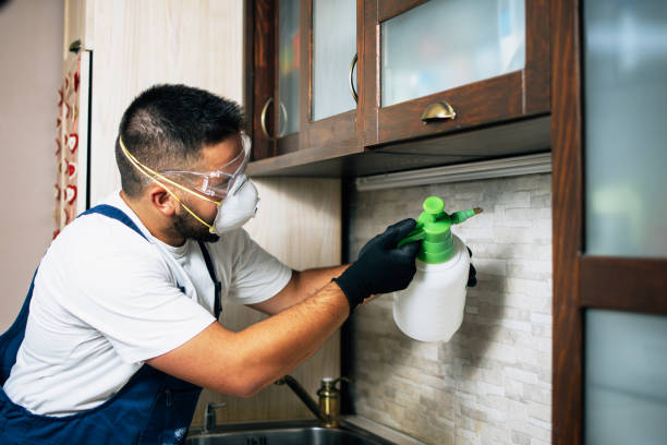 Best Affordable Pest Control Services  in Beattystown, NJ