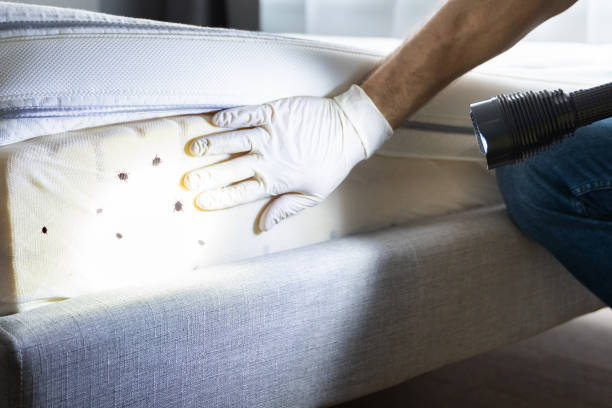 Best Pest Inspection Near Me  in Beattystown, NJ
